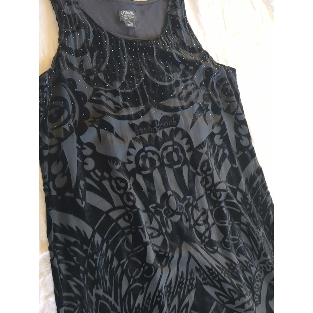 Citron Santa Monica Velvet Whimsigoth Sheer Maxi Dress Sz Medium Black Side Slit